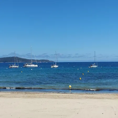 Central, Terrasse, Proche Et Toute Proximité *